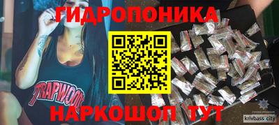 стаф Дубна