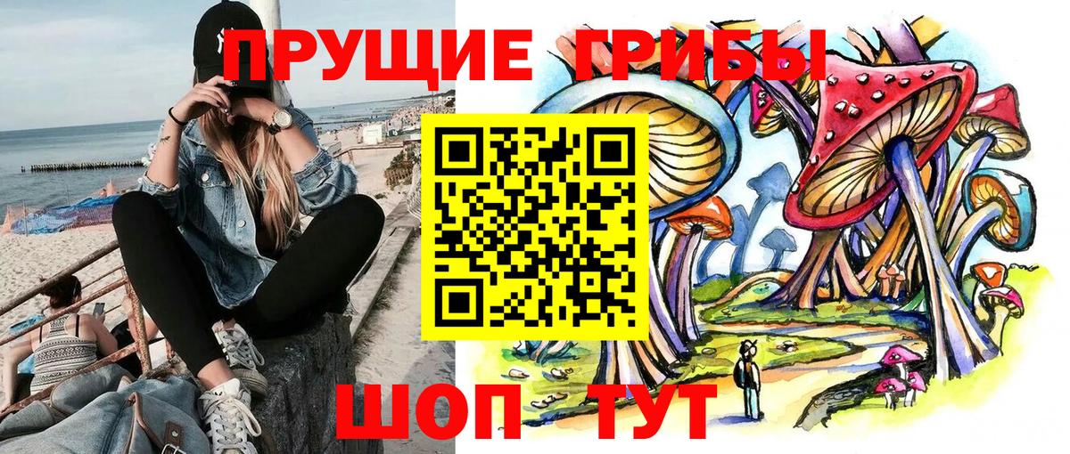 Псилоцибиновые грибы Magic Shrooms  Галлюциногенные грибы Cubensis  Вход с VPN  Минусинск 