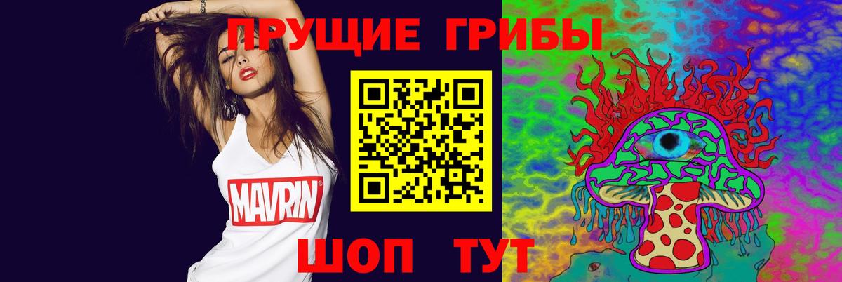 Псилоцибиновые грибы Psilocybine cubensis Минусинск