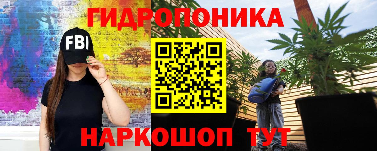 Конопля конопля Минусинск